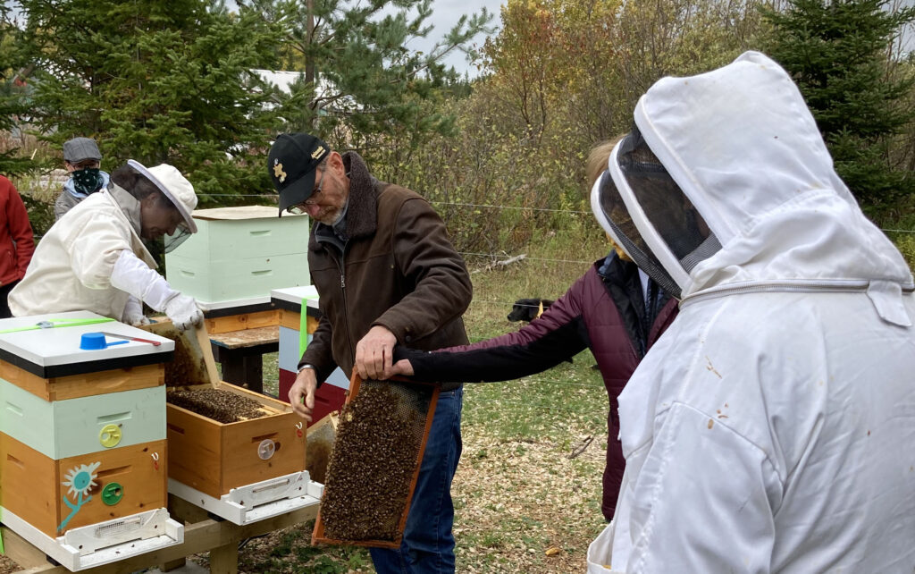 Beekeepers being taught how to treat Varroa