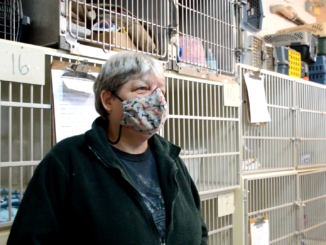 Christine Doucette stands by the cages at the N.L. West SPCA