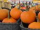Baskets of pumpkins on display at the supermarket.