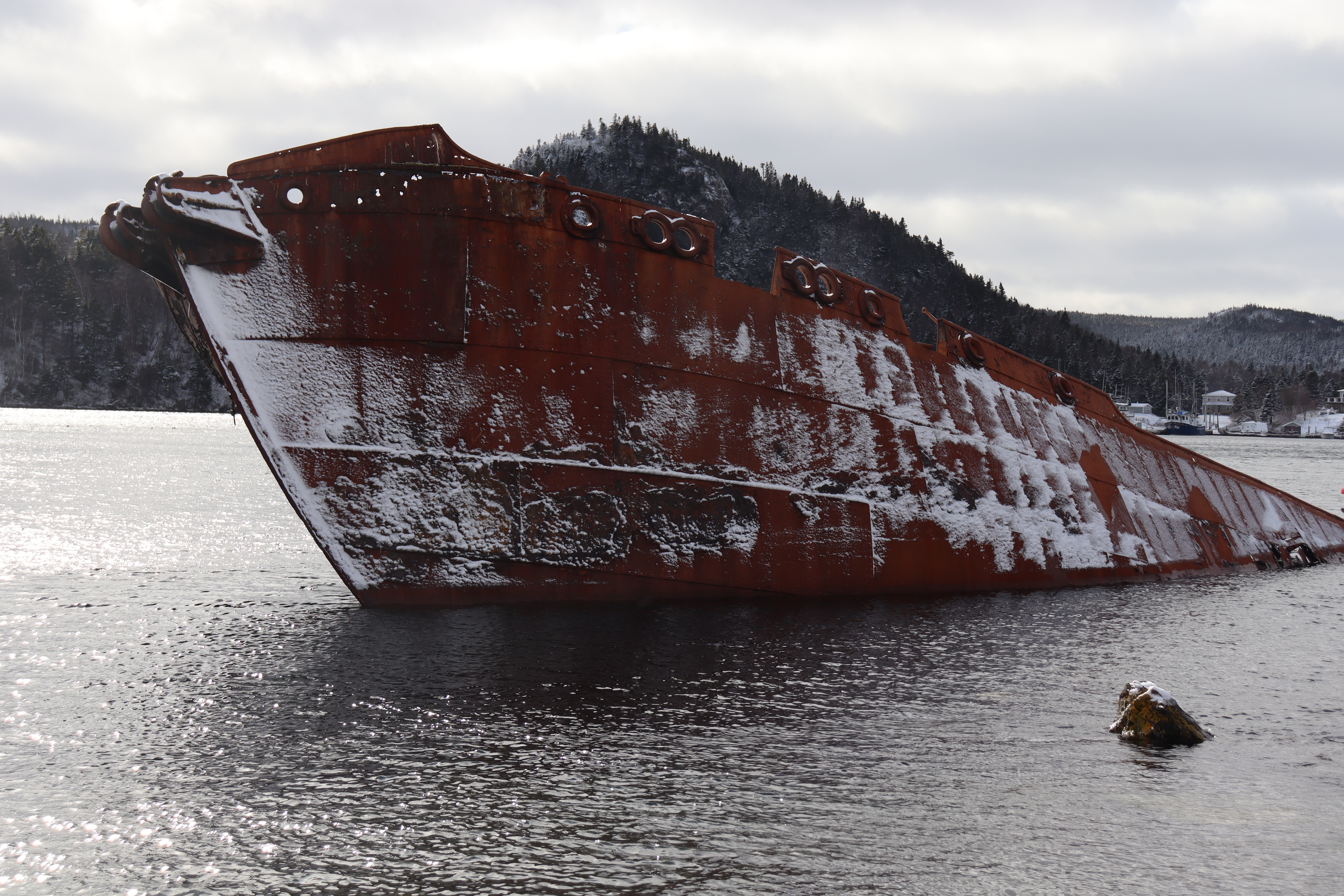 S.S. Charcot in Conception Harbour. The hull of the shipwreck is exposed. 