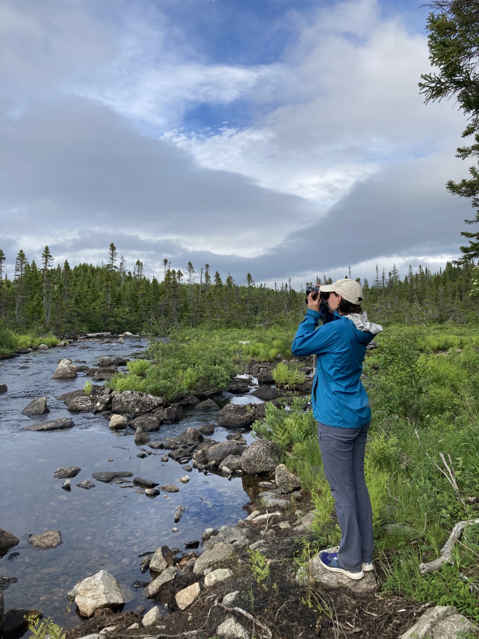 Jenna McDermott, a young woman wearing a white ball cap, a blue jacket and blue jeans, holds a camera to her eye next to a stream as she birdwatches. McDermott is the assistant coordinator of the Newfoundland Breeding Bird Atlas.