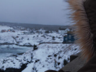 a woman overlooks the shore in pouch cove, which is being hit by rough waves