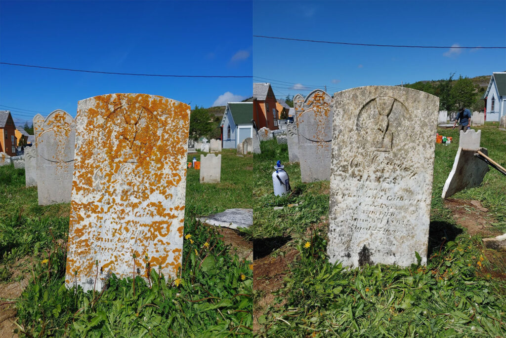 A before and after picture of a gravestone in Trinity. On the left the gravestone is taken over with old. yellow growth. On the right is a readable gravestone.