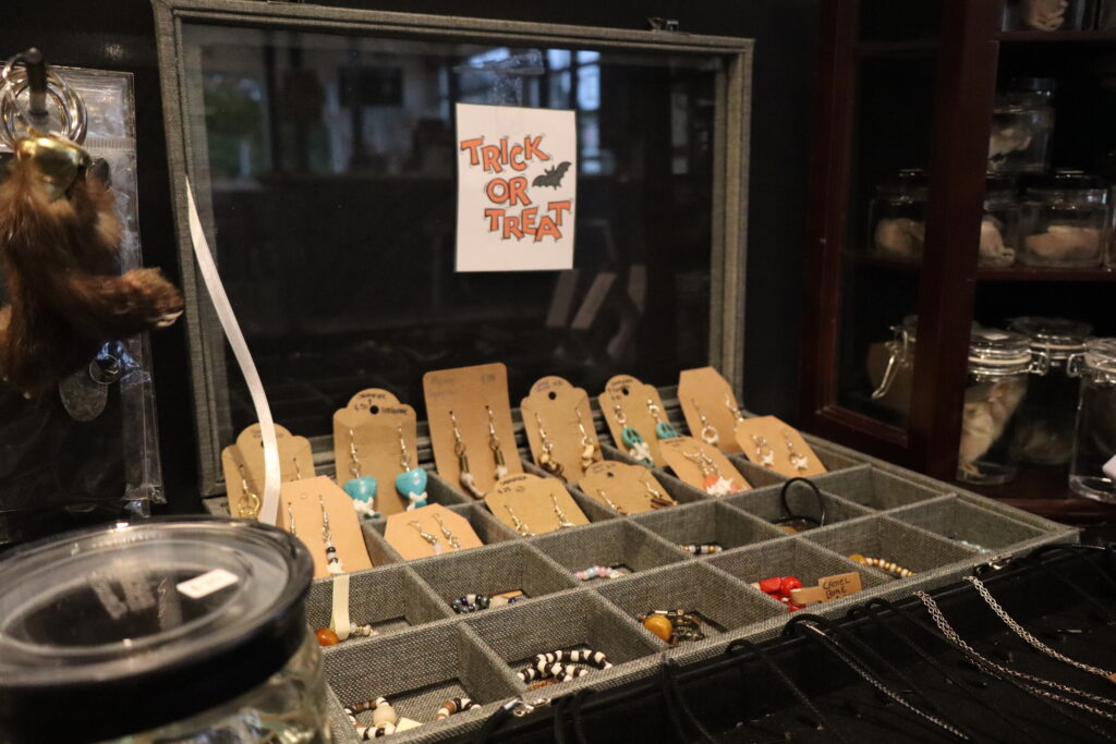 image shows Curious Collection products on display for sale