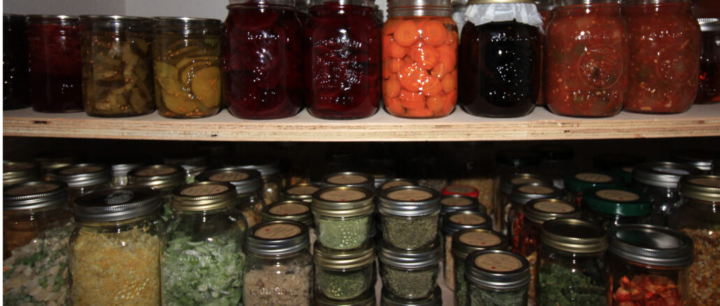 Leslie Healey's canned preserves lined up on her shelves. All her own produce that she grew and canned.