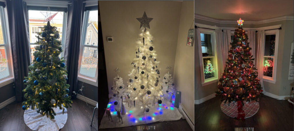 three christmas trees look vastly different. 